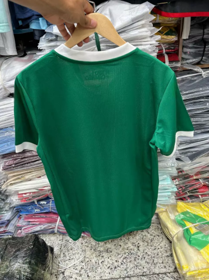 Camisa do Palmeiras 25/26