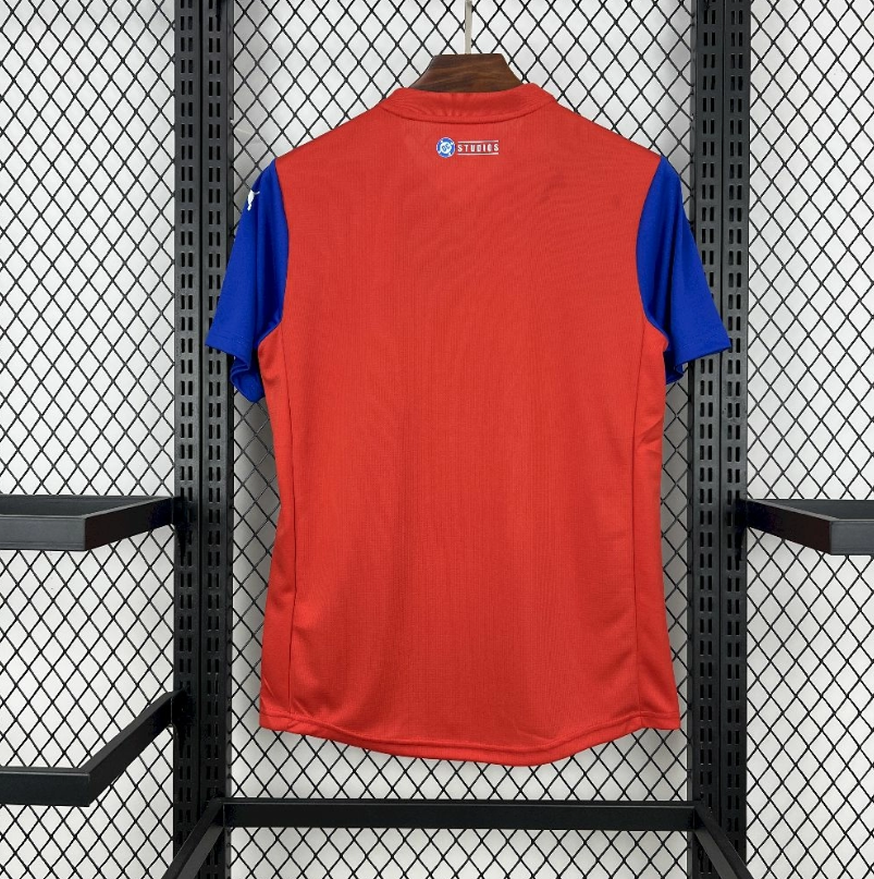 Camisa Bahia Torcedor - Superman 25/26