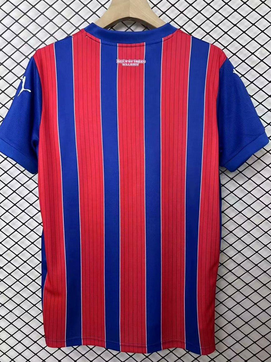 Camisa Bahia Torcedor - Casa 25/26