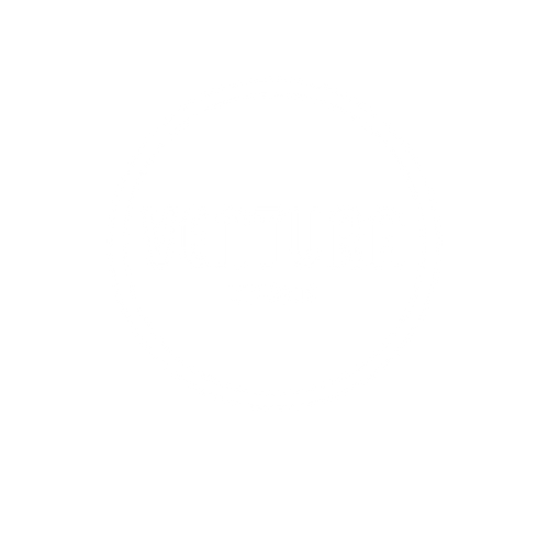 VENTURA IMPORTS